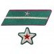 СТАРШИЙ ПОЛИТРУК, ВОЕНВРАЧ 3-го ранга, ВОЕНВЕТВРАЧ 3-го ранга, ВОЕННЫЙ ЮРИСТ 3-го РАНГА, петлицы и нарукавные знаки обр.1935/36 г.